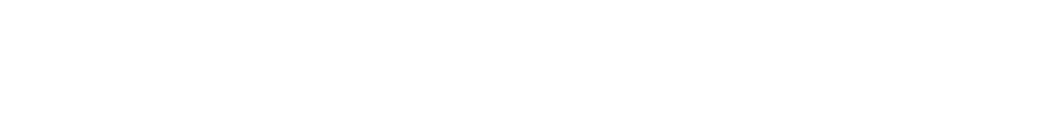 Dell White Logo