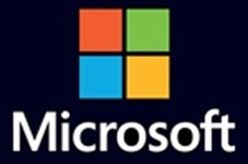 Microsoft Icon Logo